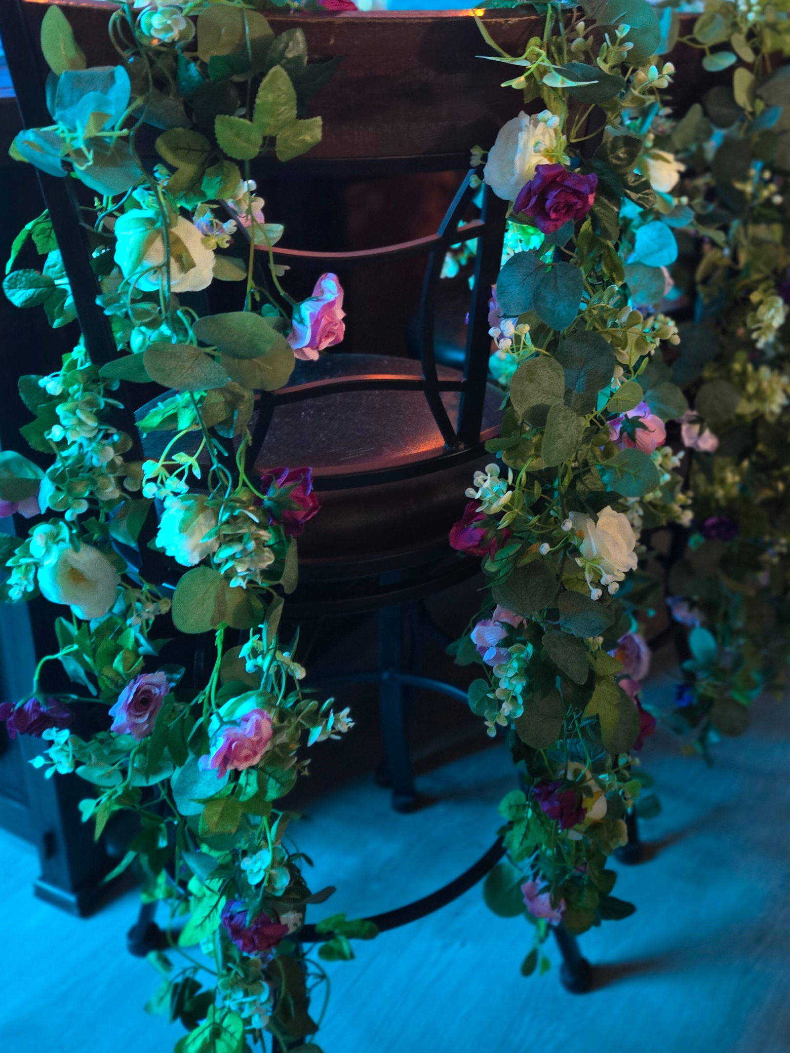 Cynical Kitten Club photo