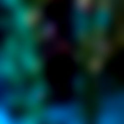 Cynical Kitten Club photo