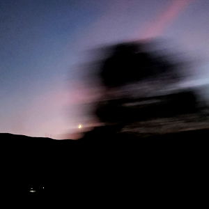 Cynical Kitten Club photo