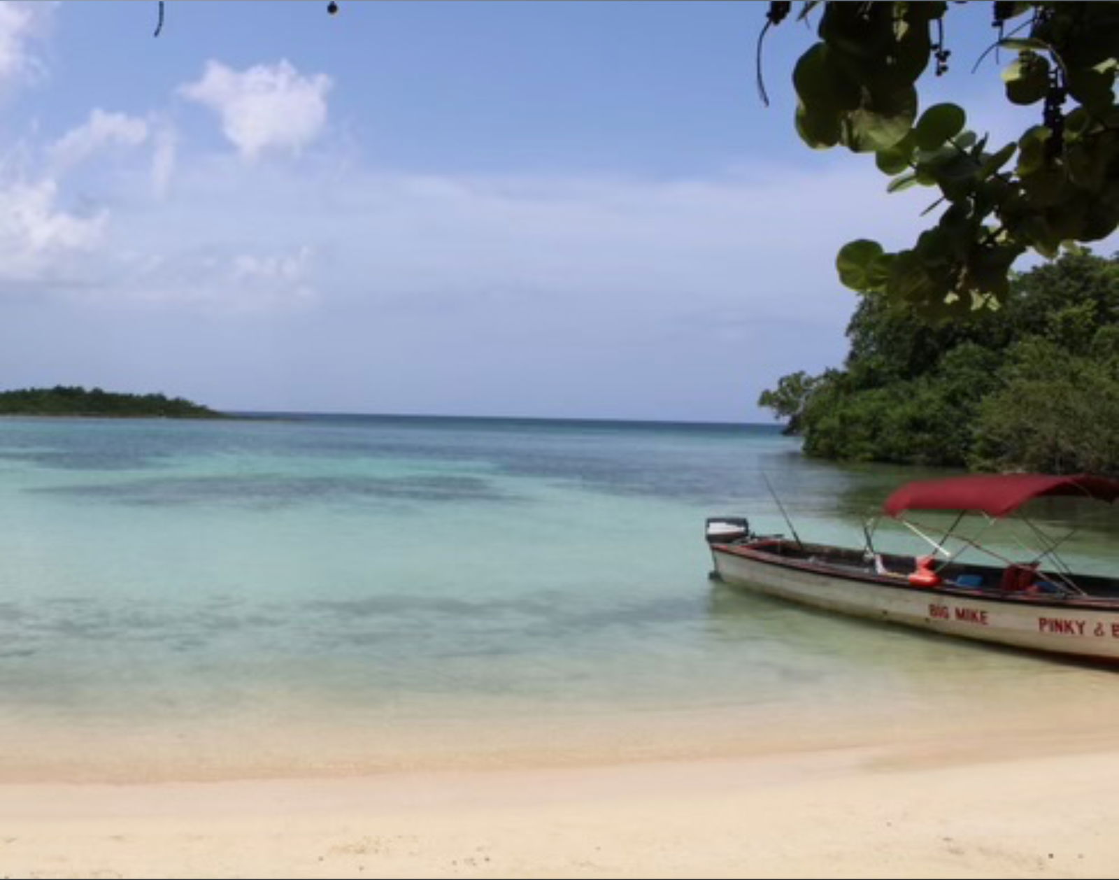 Yannery Crooks photo