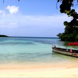 Yannery Crooks photo