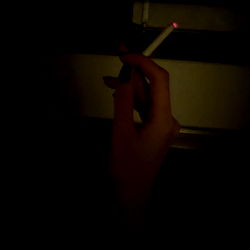 A Nighttime Snack Break