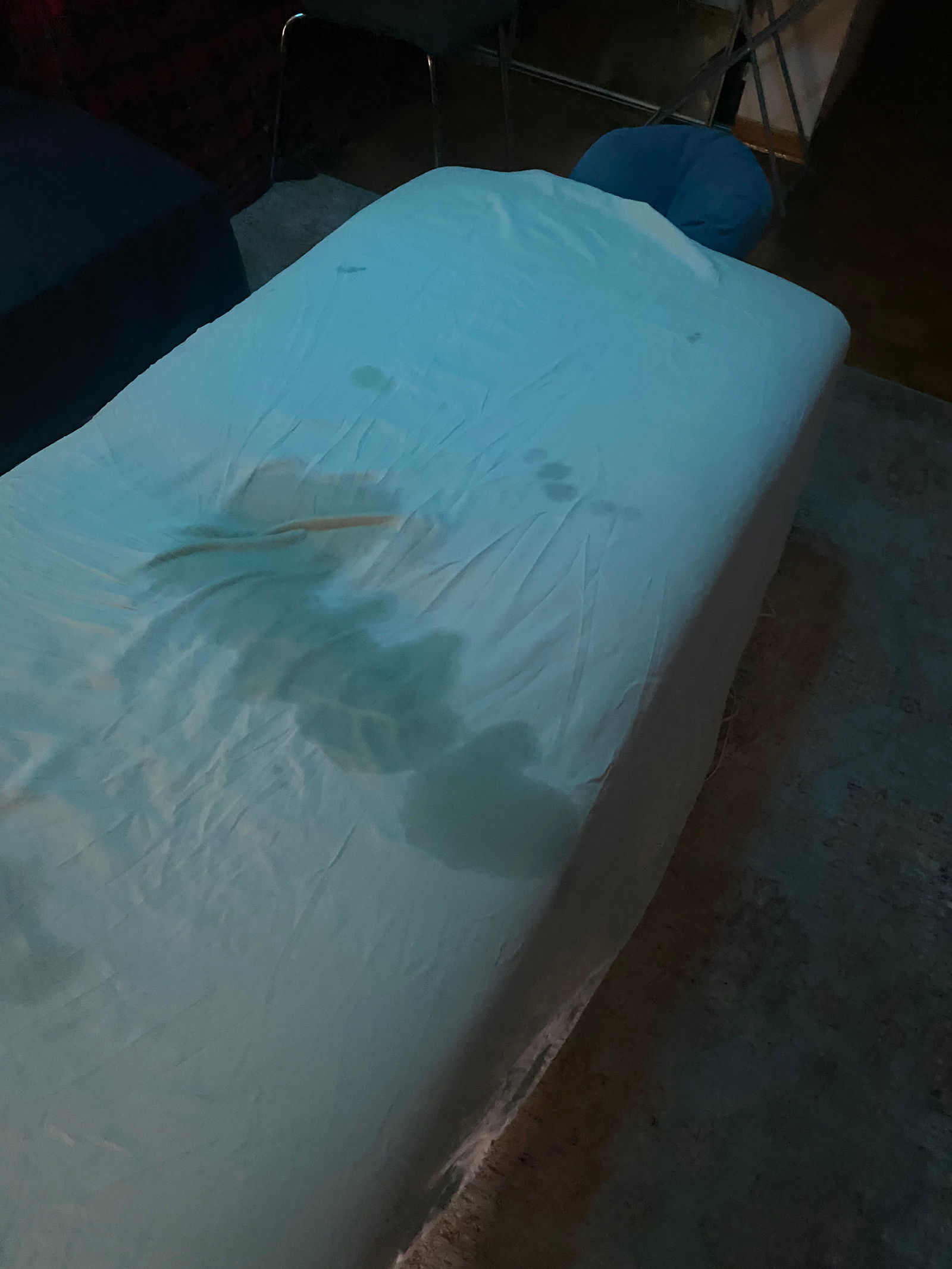 Adventures of Bo photo