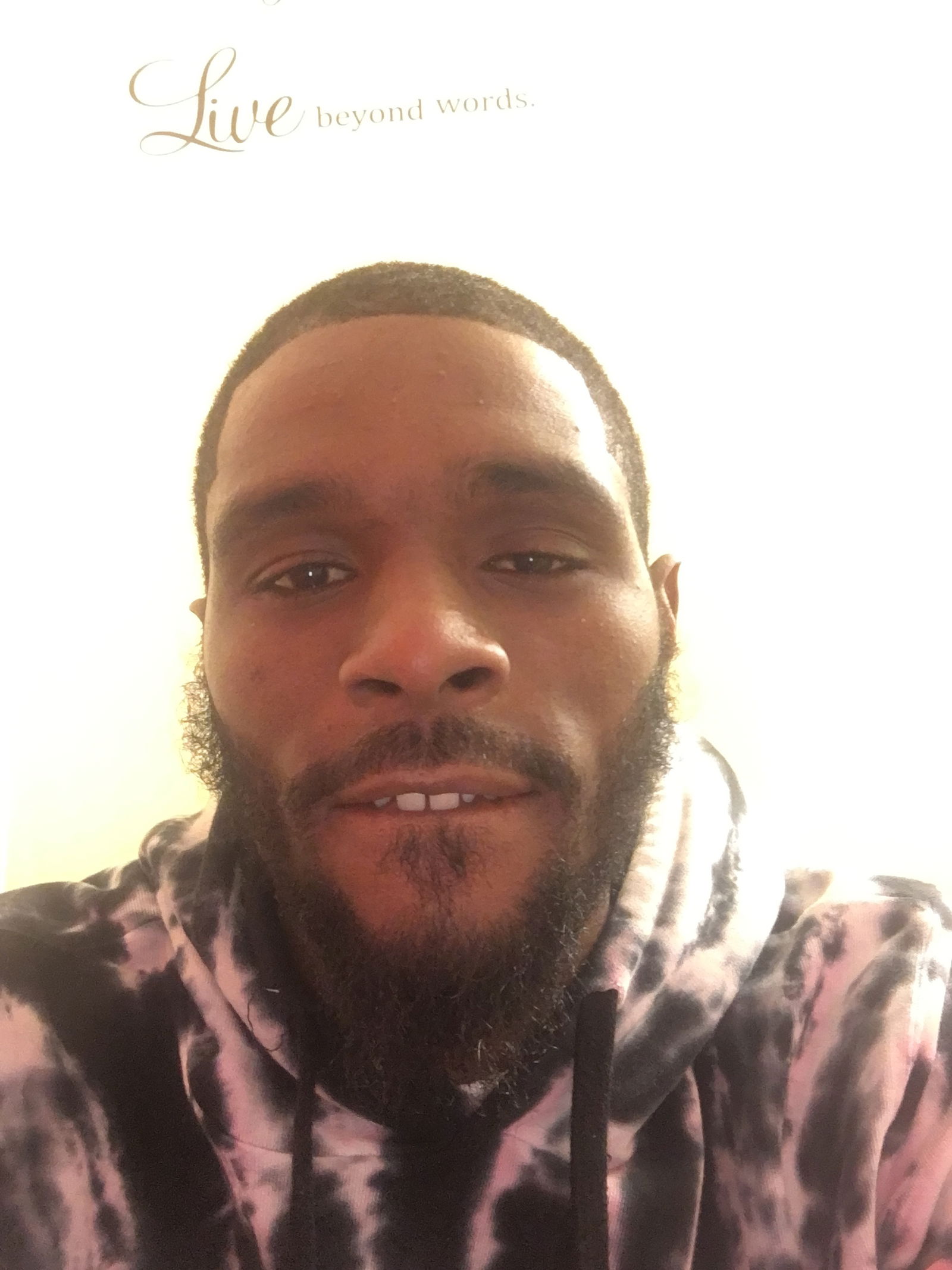 Chocolate Drop photo