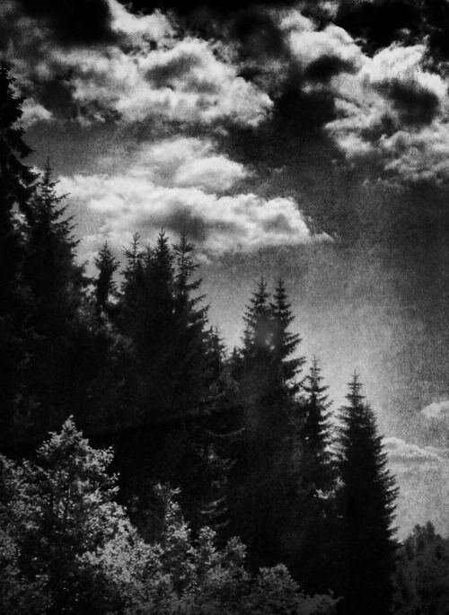 Altgirlexperiment626 photo