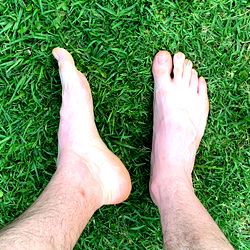 Casually Displayed Feet with Toes
