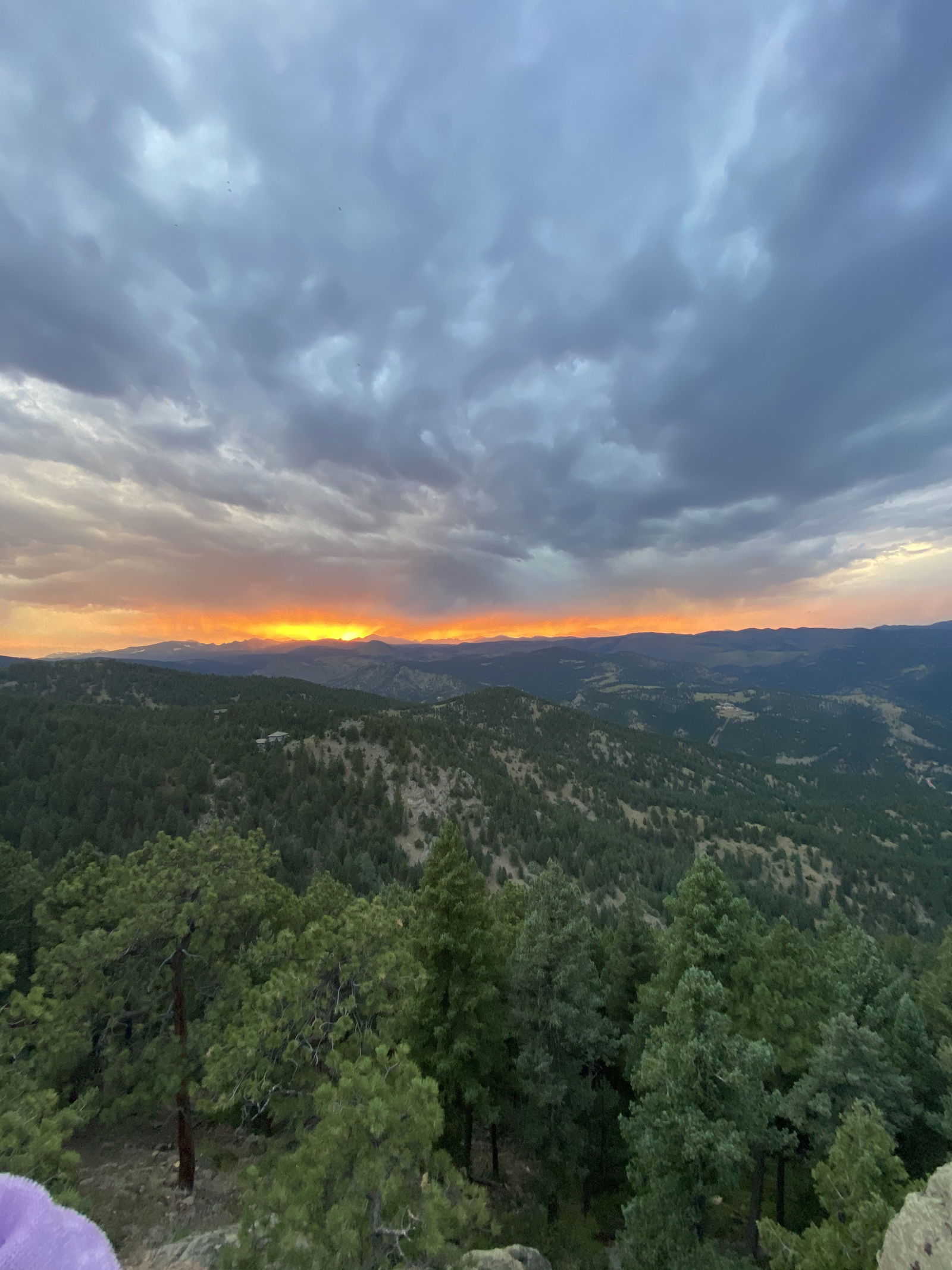 Trans babygirl photo