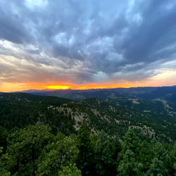 Trans babygirl photo