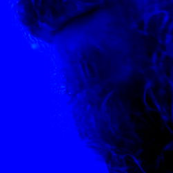 A Unique Perspective on a Medical Professional's Life