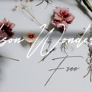 Alisonwonderland photo