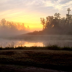 Philup Chambers photo