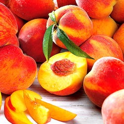 Avery Allspice photo