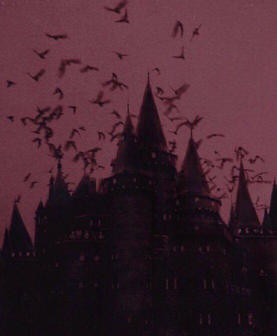 ✨ 𝓔𝔃𝓮𝓴𝓲𝓮𝓵 ✨ photo