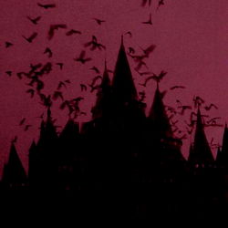 โจ ๐๐๐ฎ๐ด๐ฒ๐ฎ๐ต โจ photo