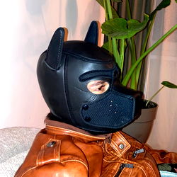 Fashionable Puppy Mask on a Man