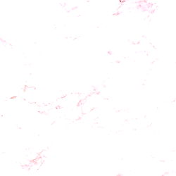 ♡ 𝒜𝓂𝒷𝓇𝑒 ♡ photo