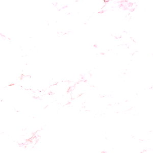 โก ๐๐๐ท๐๐ โก photo