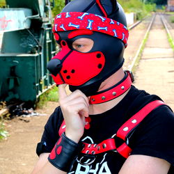 Cologne Dog Costume Model