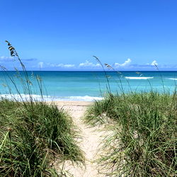 Serene Beach Getaway: A McStang Dream