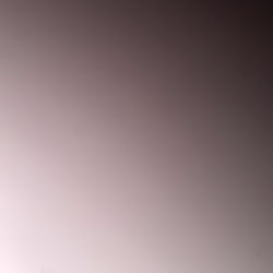 Anne's Artful Display