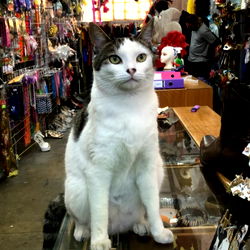 ๐๐Ariel cosmo ๐๐ photo