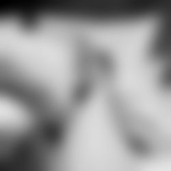 ๐ฝ๐ข๐๐๐๐ ๐๐๐๐๐ข ๐ photo