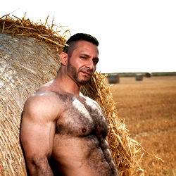 OnlyFans Model AdamChampXXX Leaning on Hay Bale