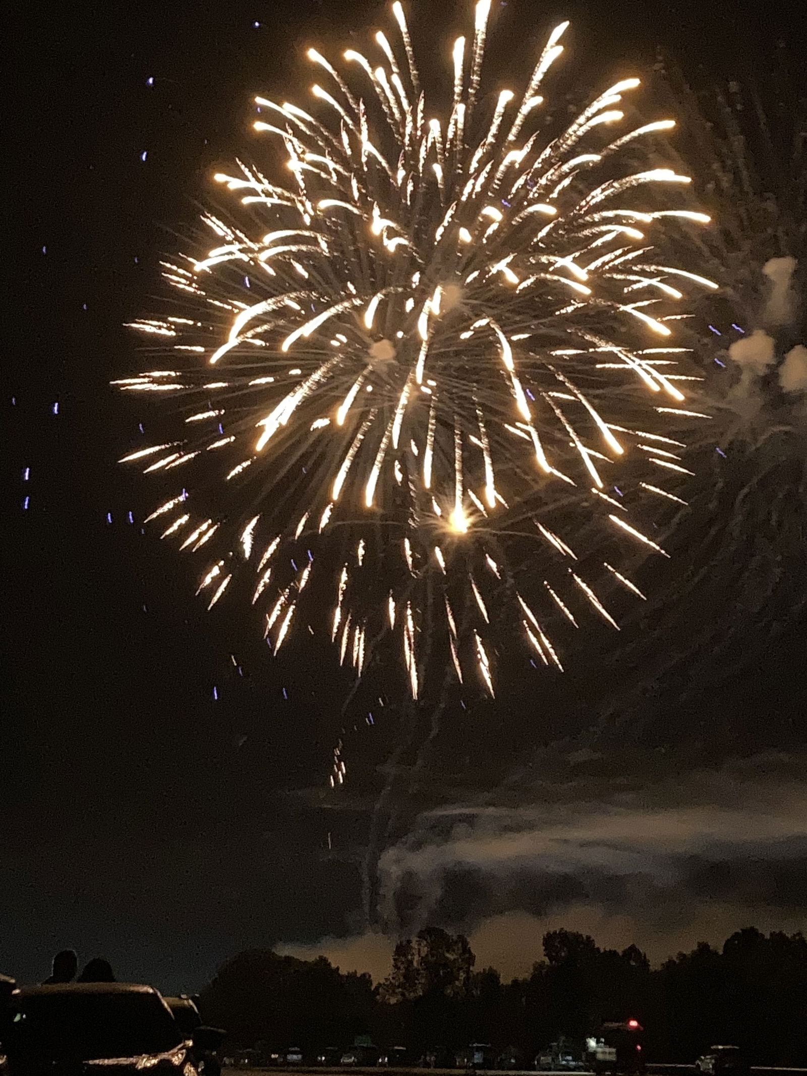 Downsouthmomma photo