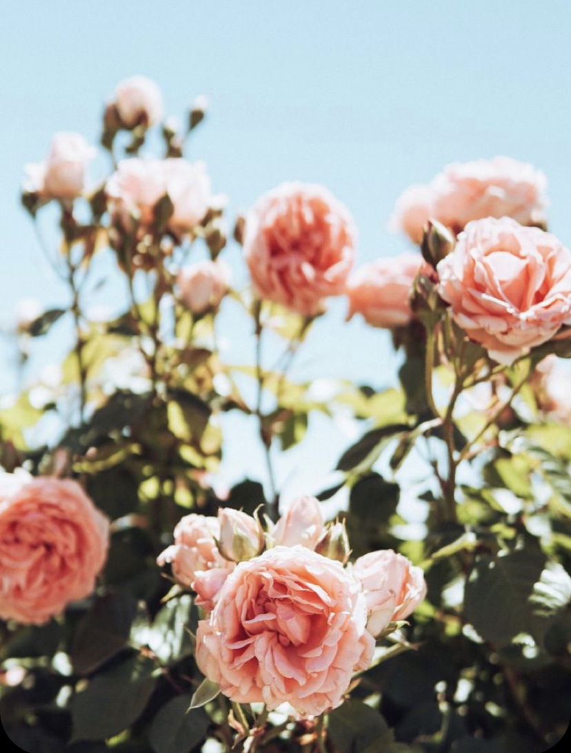 Shh, it’s our secret photo