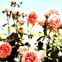 Shh, itโs our secret photo