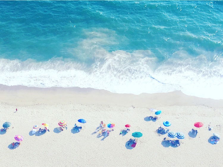 Persian Kittey photo