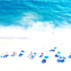 Persian Kittey photo