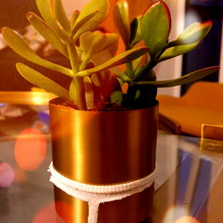 A Cute Potted Plant in a Brown Vase
