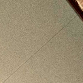 Celina Essentially photo