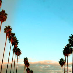 Blake Carrington photo