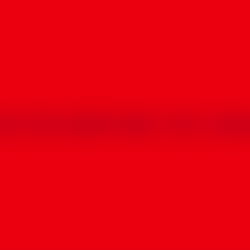 muleke curioso ๐ง๐ท photo