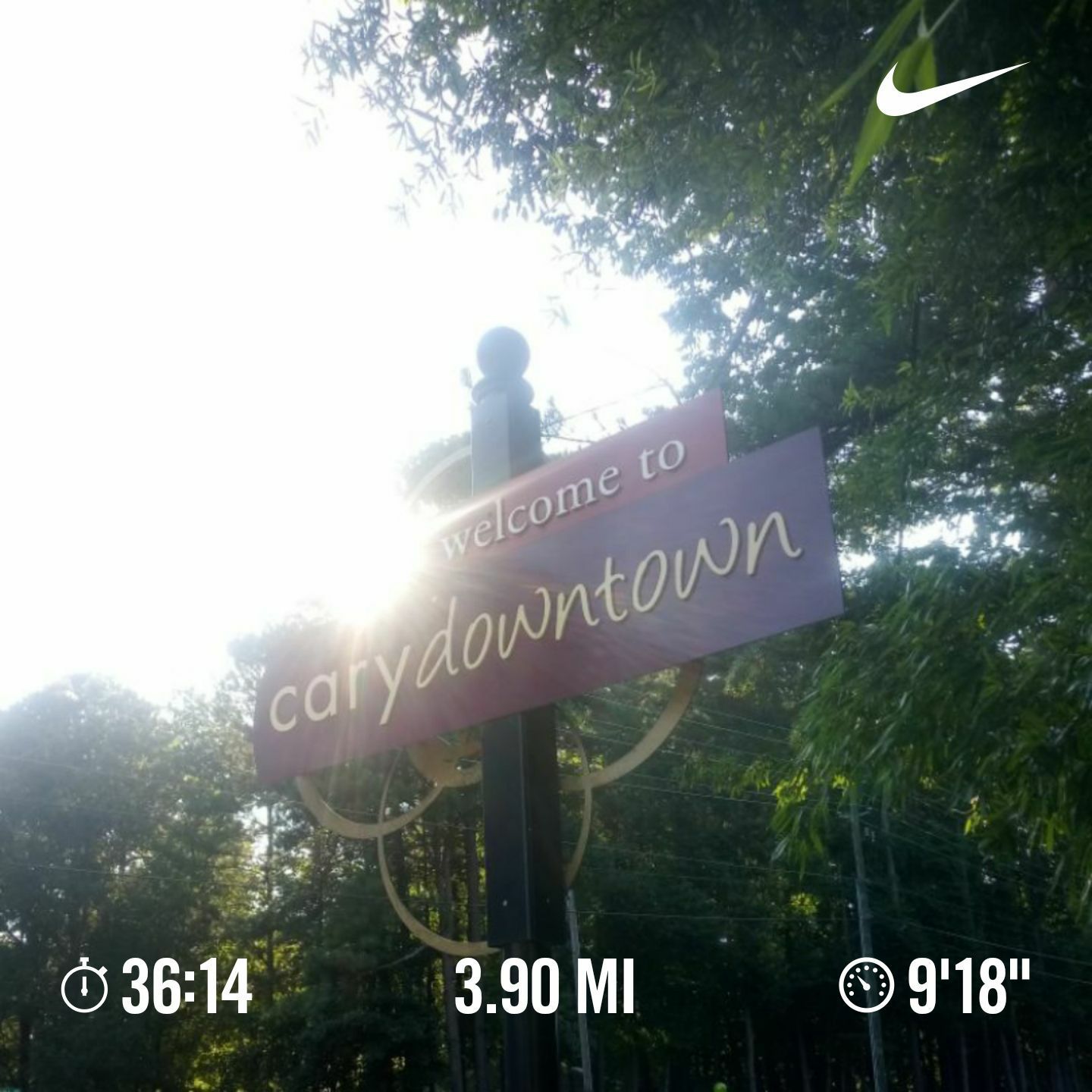 BingoWasHisName photo