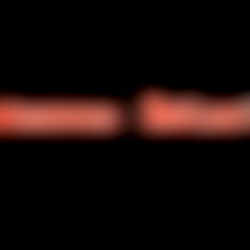 Savanna Island photo