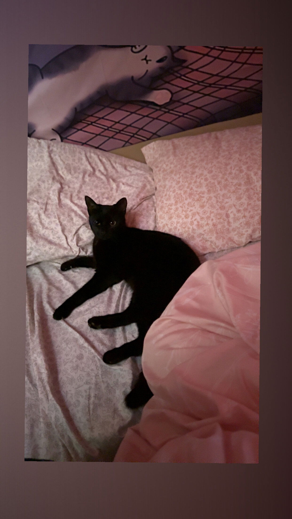 Pretty nasty.xo photo