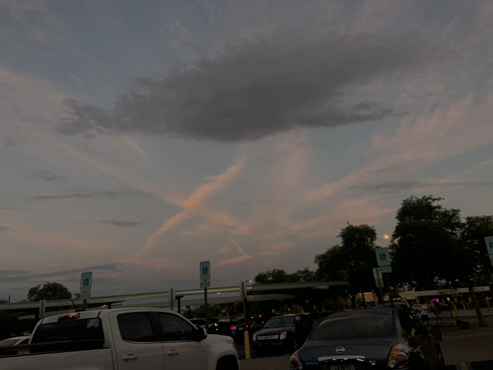 Ashley Stevens photo