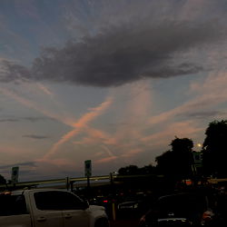 Ashley Stevens photo