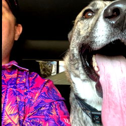 Exciting Vacation in 3rd Coast Texas!