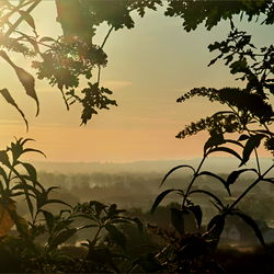 Serene Sunrise Scenery with Jae from Devon