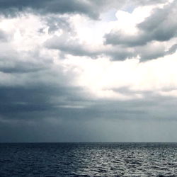 Chicago, IL model Higgins Delafonte