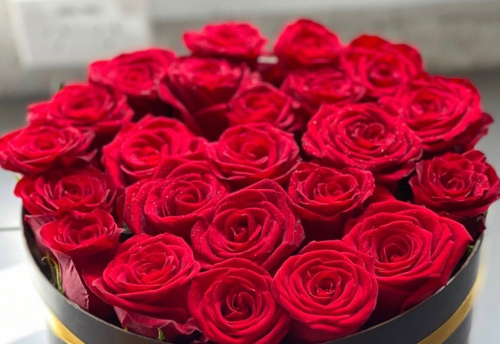 Enchantedredrose photo