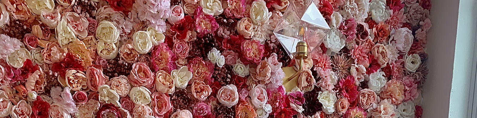 Mister Manager photo