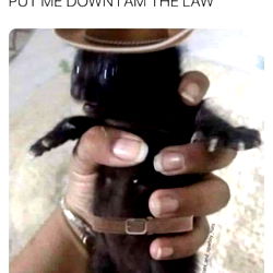 Your fantasies [Model Photo]