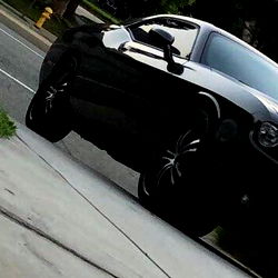 Younglatinobul1 in San Bernardino, CA