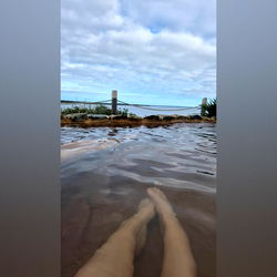 The Feet Fairy photo