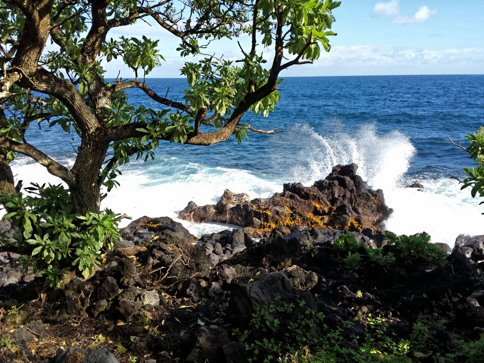 Artist Off the Grid photo